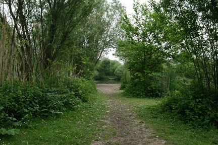 DSC 6290